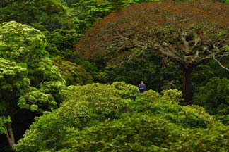 rase una vez un bosque (ECO-Film COP 21 Pars) 