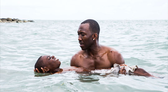 Moonlight (Pelculas del Oscar)