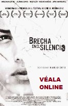 Brecha en el silencio 