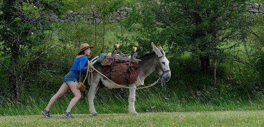 'Vacaciones contigo... y tu mujer' (36 Festival Cine Francs 2022)