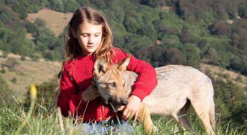 El secreto de Vicky (36 Festival Cine Francs 2022)