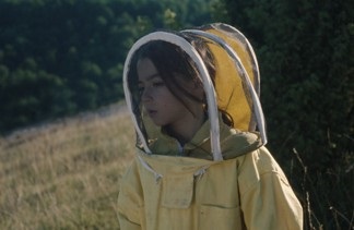 20.000 especies de abejas (Cinecelarg3) 