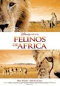 FELINOS DE FRICA 